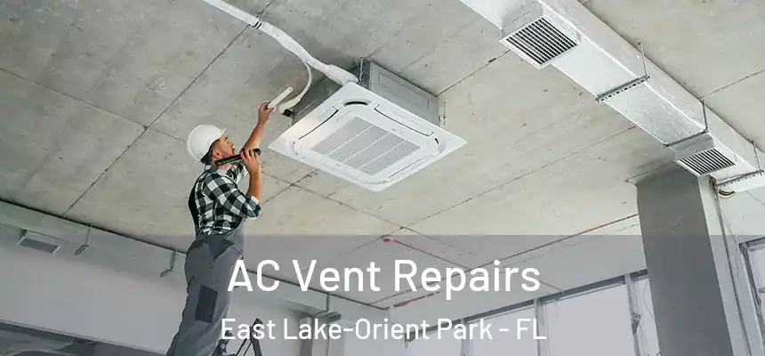 AC Vent Repairs East Lake-Orient Park - FL