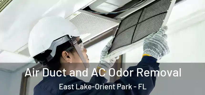 Air Duct and AC Odor Removal East Lake-Orient Park - FL