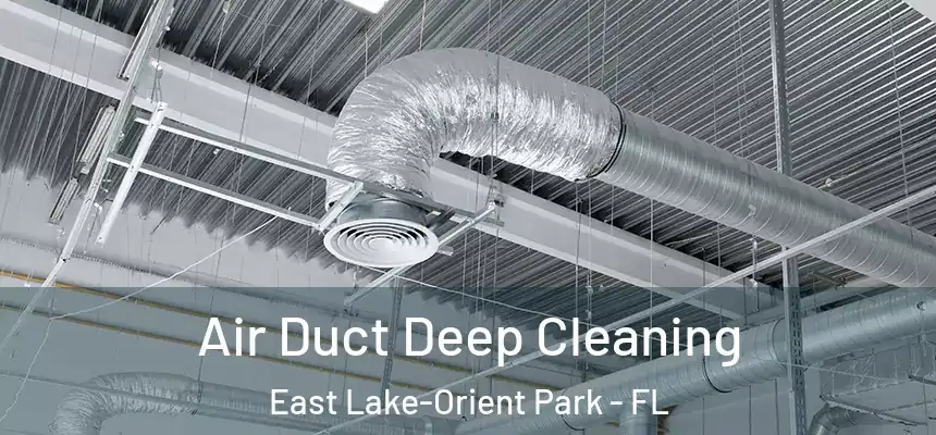 Air Duct Deep Cleaning East Lake-Orient Park - FL