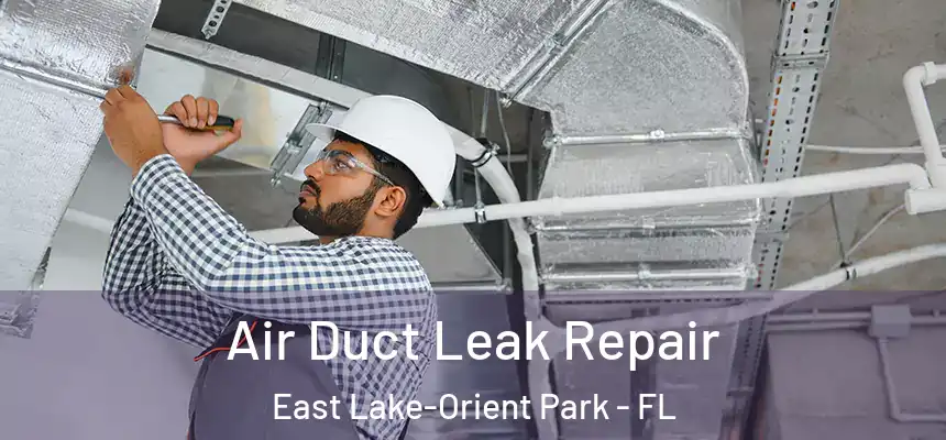  Air Duct Leak Repair East Lake-Orient Park - FL