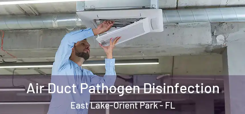  Air Duct Pathogen Disinfection East Lake-Orient Park - FL