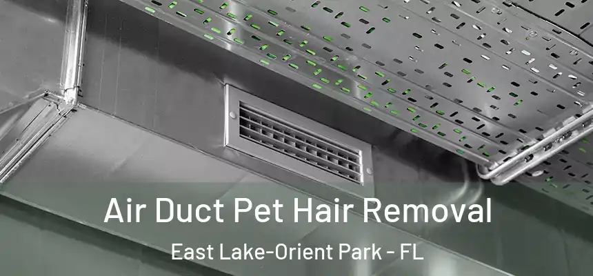  Air Duct Pet Hair Removal East Lake-Orient Park - FL