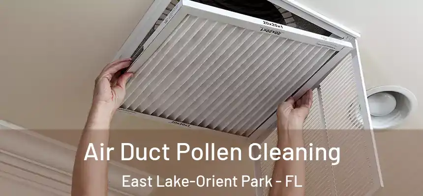 Air Duct Pollen Cleaning East Lake-Orient Park - FL