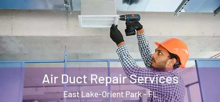  Air Duct Repair Services East Lake-Orient Park - FL