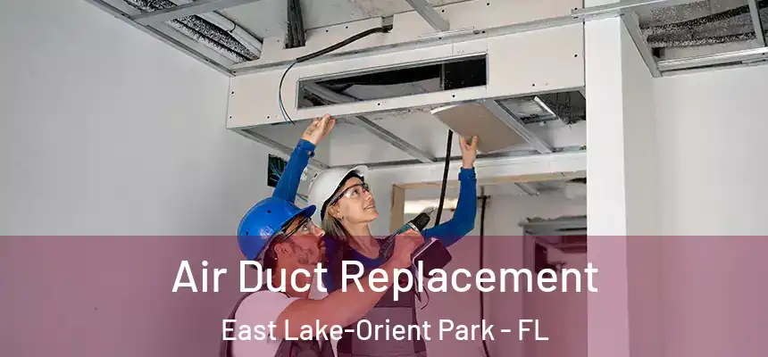 Air Duct Replacement East Lake-Orient Park - FL