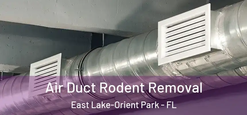 Air Duct Rodent Removal East Lake-Orient Park - FL