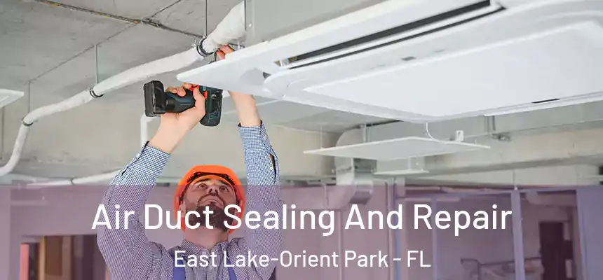  Air Duct Sealing And Repair East Lake-Orient Park - FL