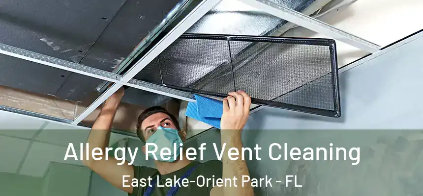 Allergy Relief Vent Cleaning East Lake-Orient Park - FL