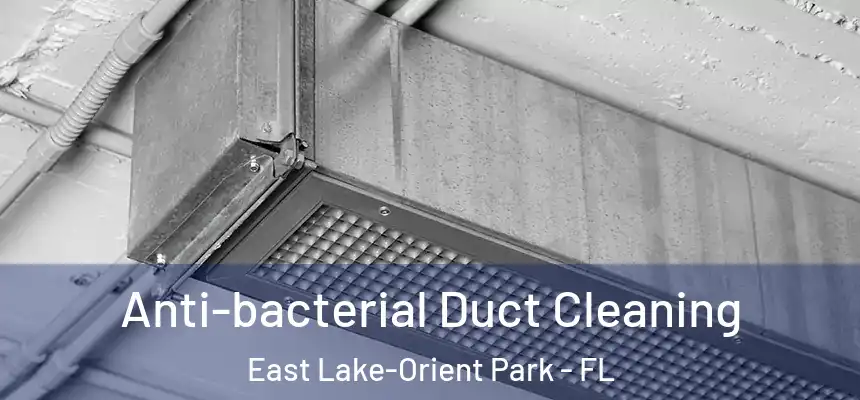 Anti-bacterial Duct Cleaning East Lake-Orient Park - FL