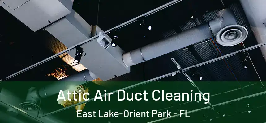 Attic Air Duct Cleaning East Lake-Orient Park - FL