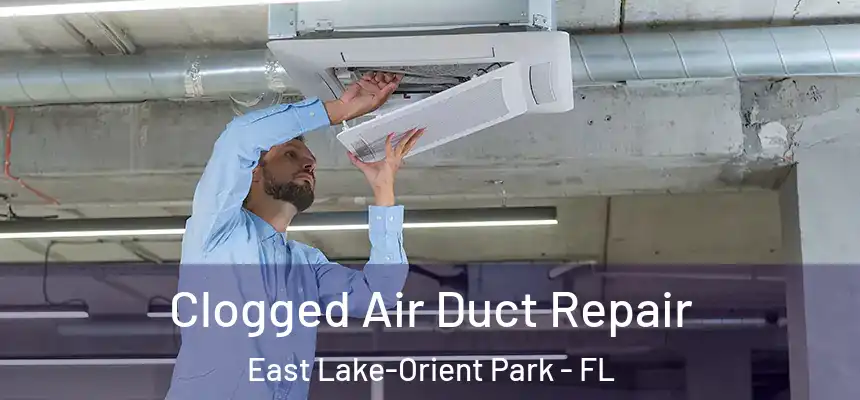 Clogged Air Duct Repair East Lake-Orient Park - FL