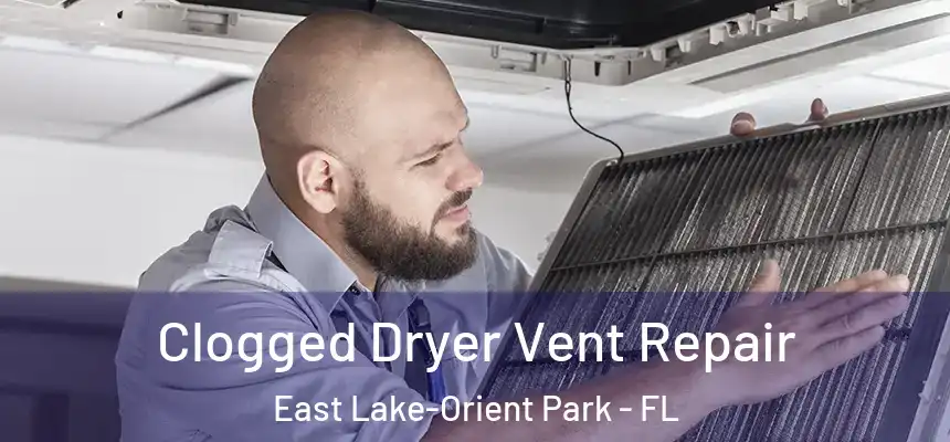 Clogged Dryer Vent Repair East Lake-Orient Park - FL