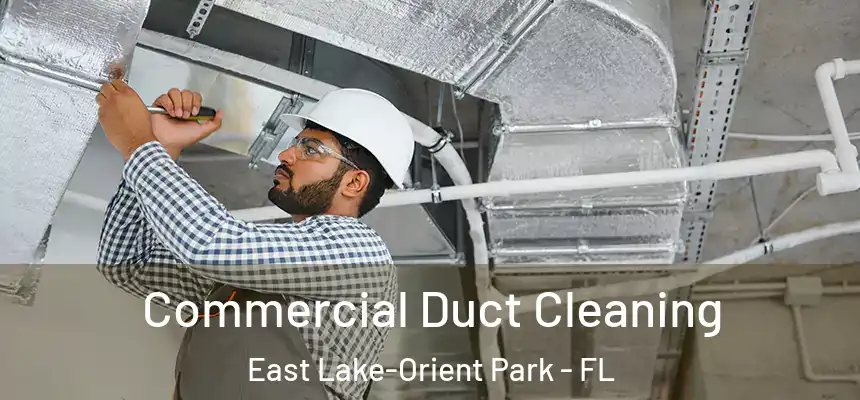  Commercial Duct Cleaning East Lake-Orient Park - FL