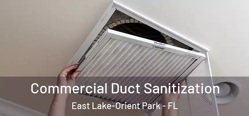 Commercial Duct Sanitization East Lake-Orient Park - FL