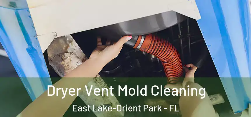 Dryer Vent Mold Cleaning East Lake-Orient Park - FL