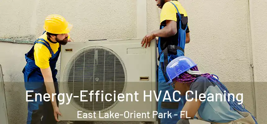 Energy-Efficient HVAC Cleaning East Lake-Orient Park - FL
