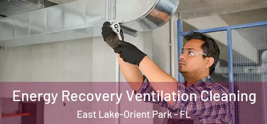Energy Recovery Ventilation Cleaning East Lake-Orient Park - FL