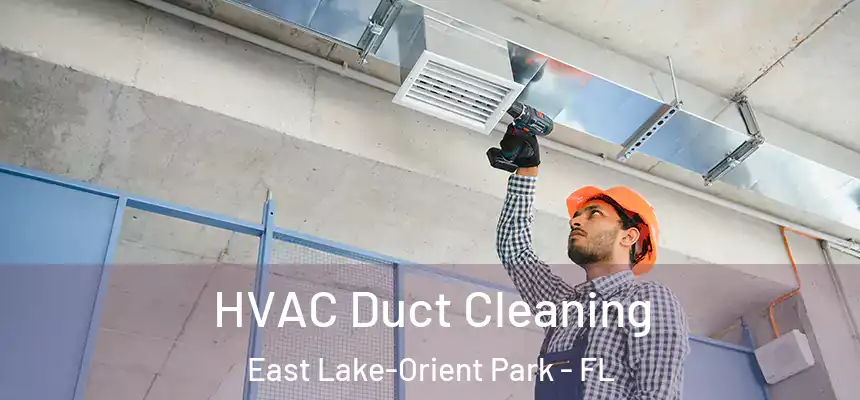  HVAC Duct Cleaning East Lake-Orient Park - FL