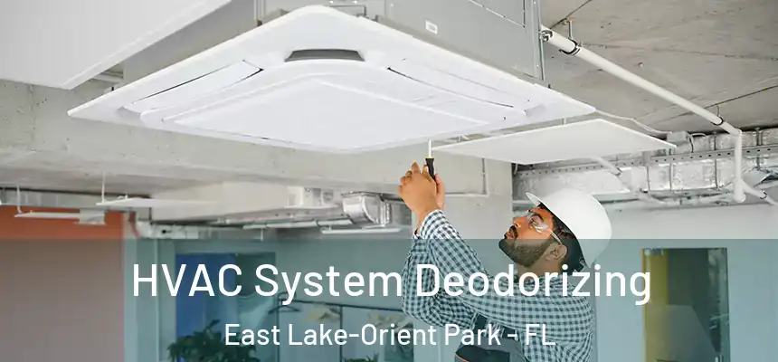  HVAC System Deodorizing East Lake-Orient Park - FL