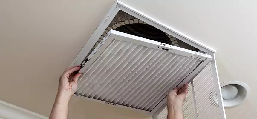 Our Air Duct UV Sanitization Services in East Lake-Orient Park, FL