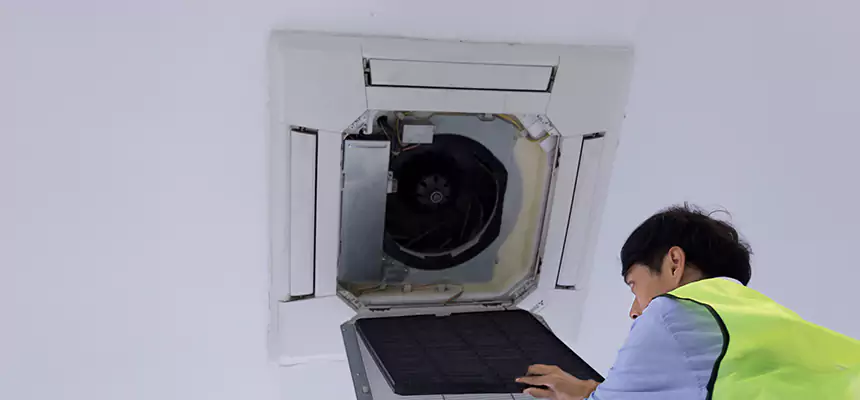 Our Dryer Vent Sanitization Service Services in East Lake-Orient Park, FL