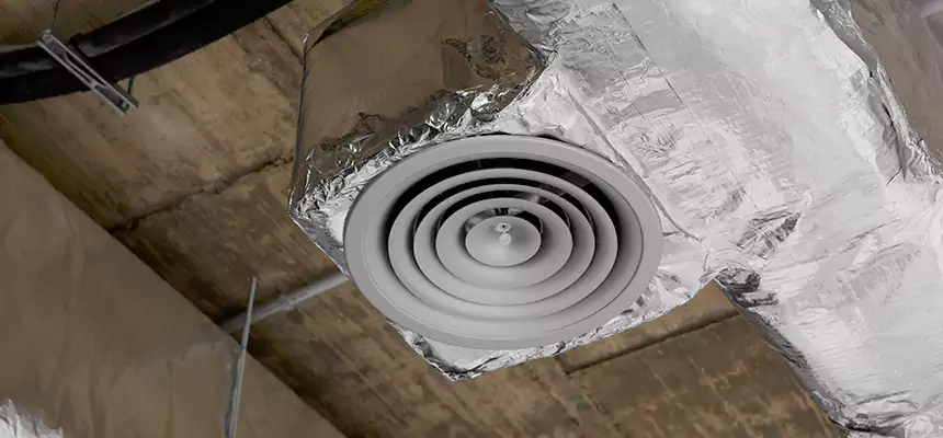 Our Excess Lint Removal from Dryer Ducts Services in East Lake-Orient Park, FL