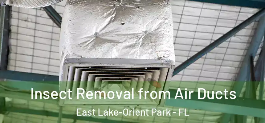 Insect Removal from Air Ducts East Lake-Orient Park - FL
