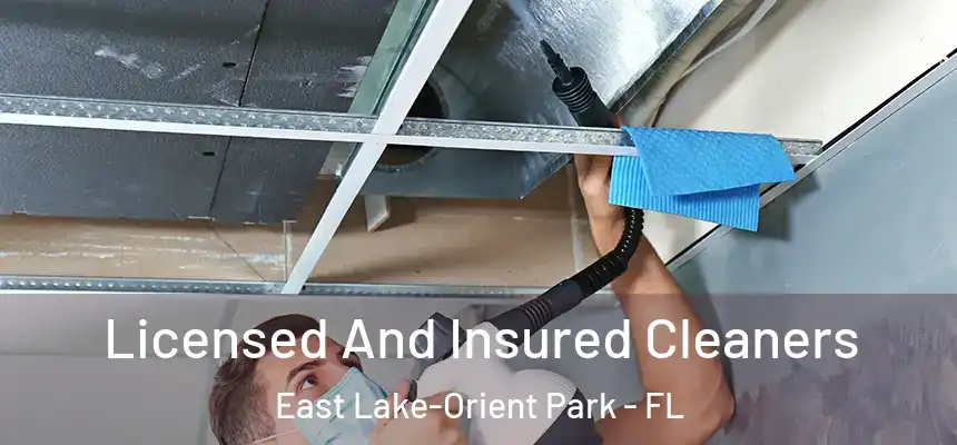 Licensed And Insured Cleaners East Lake-Orient Park - FL