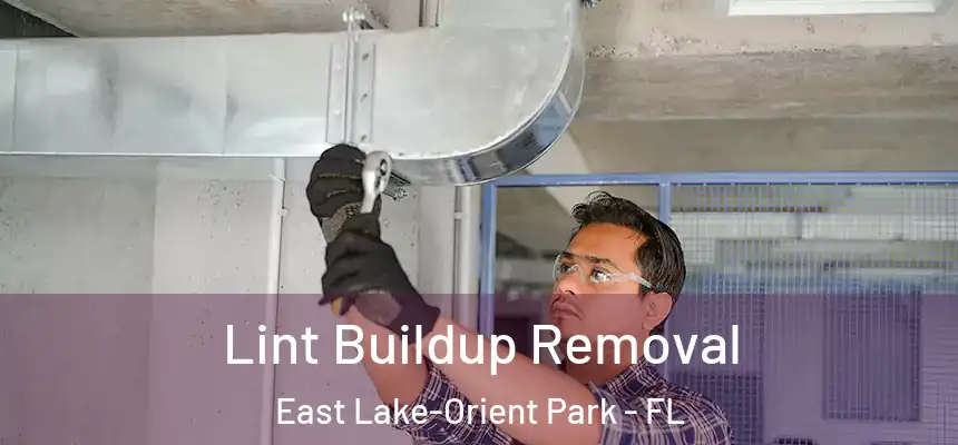 Lint Buildup Removal East Lake-Orient Park - FL