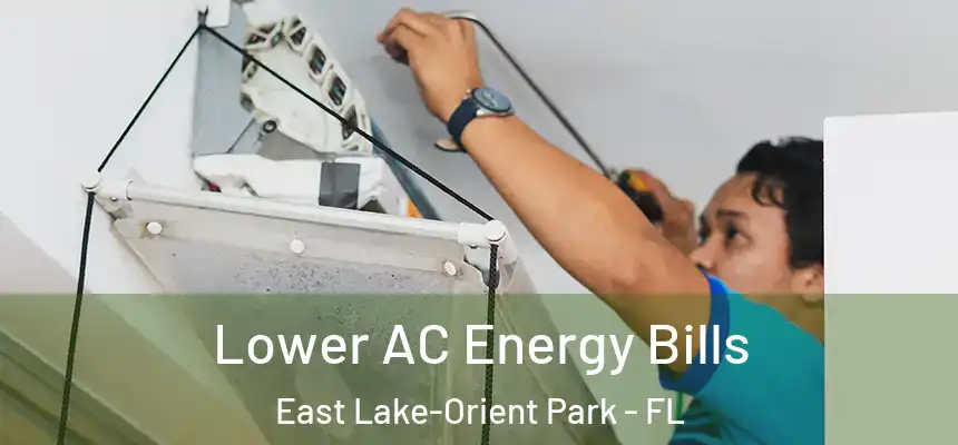 Lower AC Energy Bills East Lake-Orient Park - FL