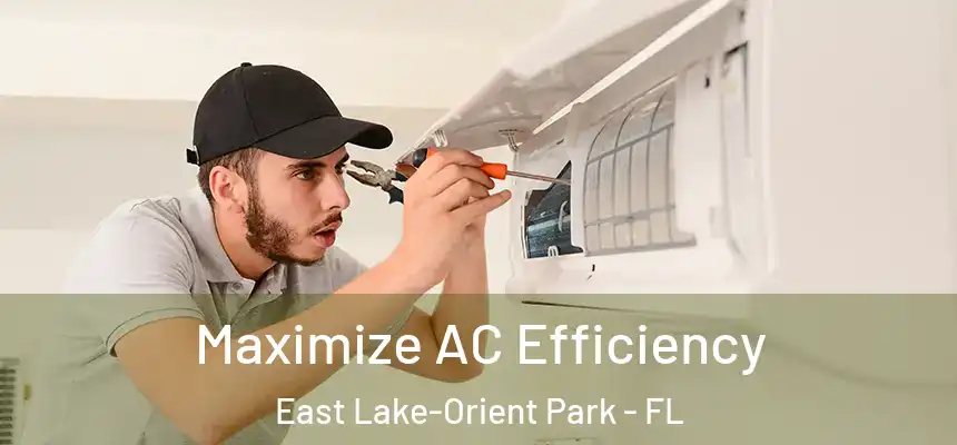  Maximize AC Efficiency East Lake-Orient Park - FL