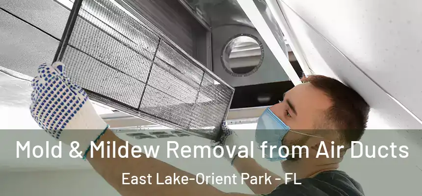 Mold & Mildew Removal from Air Ducts East Lake-Orient Park - FL