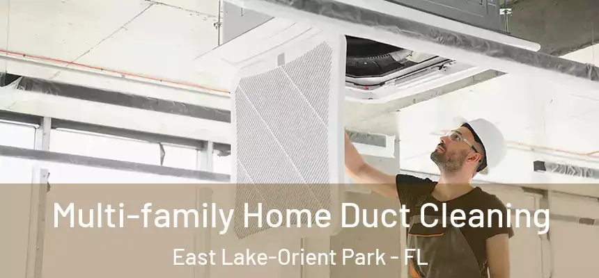 Multi-family Home Duct Cleaning East Lake-Orient Park - FL