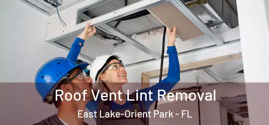  Roof Vent Lint Removal East Lake-Orient Park - FL