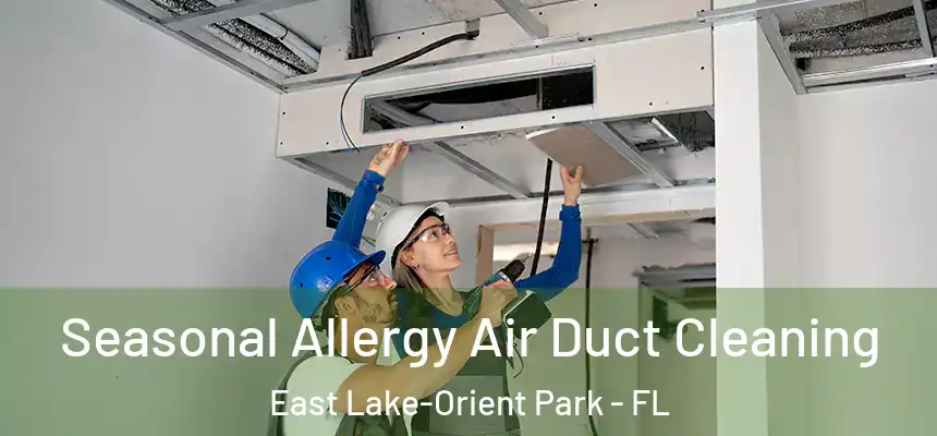  Seasonal Allergy Air Duct Cleaning East Lake-Orient Park - FL