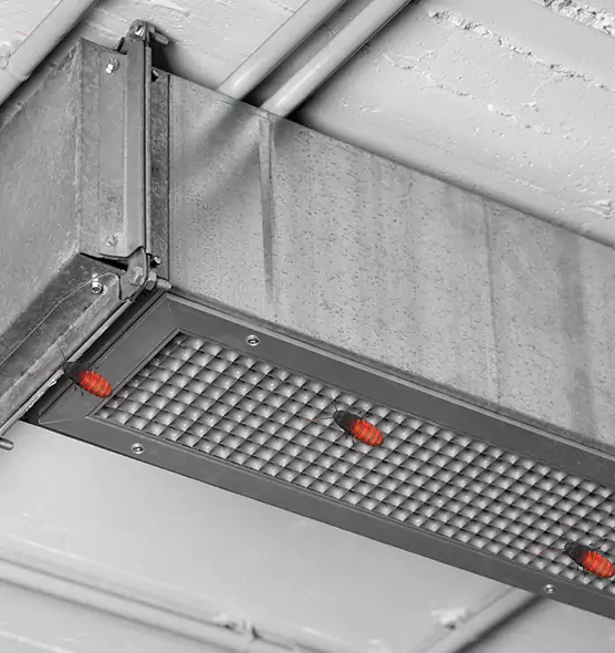 Affordable Insect Removal from Air Ducts in East Lake-Orient Park, FL