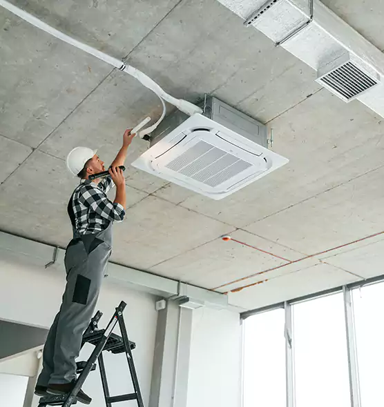 Advanced Pest Removal From Ducts in East Lake-Orient Park, FL