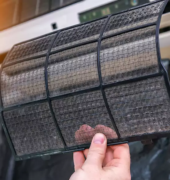 About Pet Dander Duct Cleaning in East Lake-Orient Park, FL
