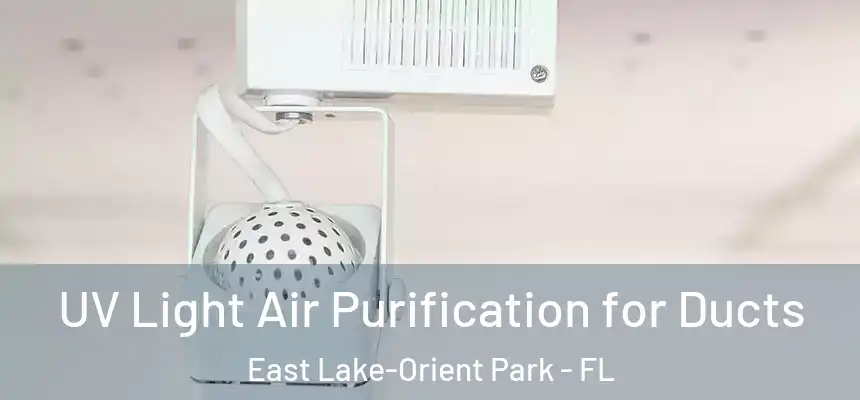  UV Light Air Purification for Ducts East Lake-Orient Park - FL