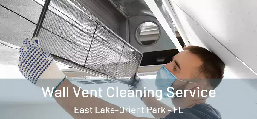 Wall Vent Cleaning Service East Lake-Orient Park - FL